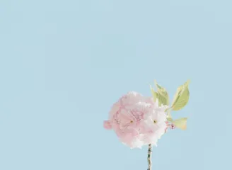 GG扑克